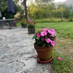 מלון Boutique De Palacios - Palacio De Aras 3*