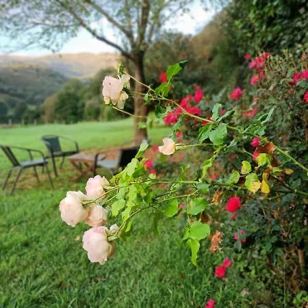 Boutique De Palacios - Palacio De Aras 3* San Miguel de Aras