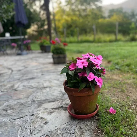 فندق Boutique De Palacios - Palacio De Aras 3*