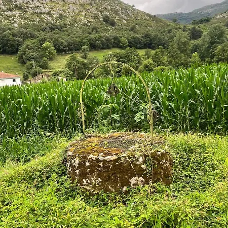 Boutique De Palacios - Palacio De Aras 3*