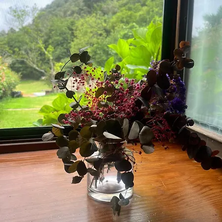 Boutique De Palacios - Palacio De Aras San Miguel de Aras