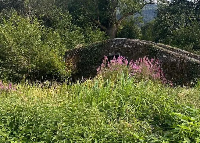 Boutique De Palacios - Palacio De Aras Hotel