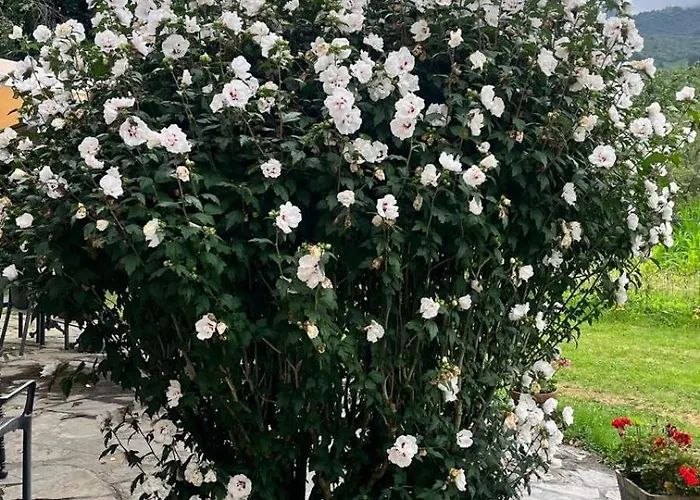 Boutique De Palacios - Palacio De Aras Hotel 3*