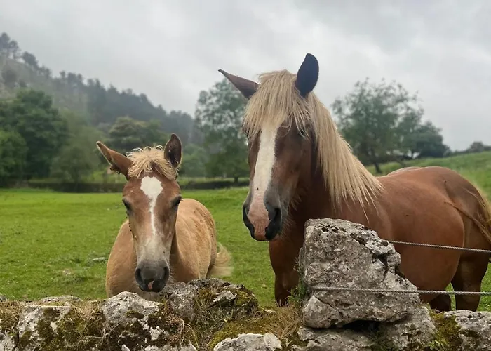 Boutique De Palacios - Palacio De Aras Hotel 3*