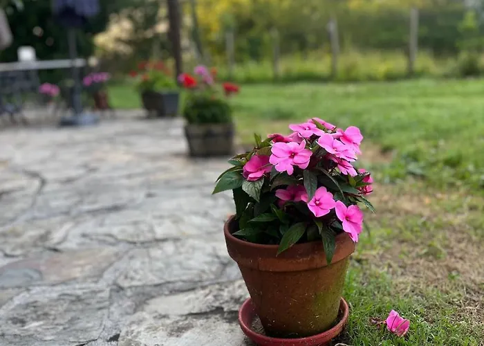 Hotel Boutique De Palacios - Palacio De Aras 3*