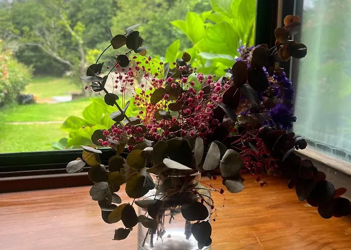 Boutique De Palacios - Palacio De Aras San Miguel de Aras